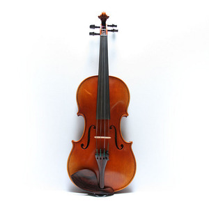 독일 Violin 600