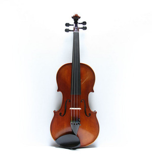 체코 Violin #4