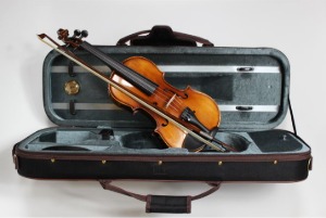 Cadenza 100 Violin 카덴자 100 바이올린 (사이즈 선택 가능)
